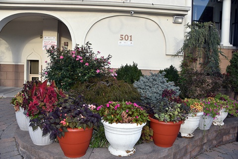 Masjid Omar bin Khattab, Paterson, NJ, United States, 2017-9-28, 