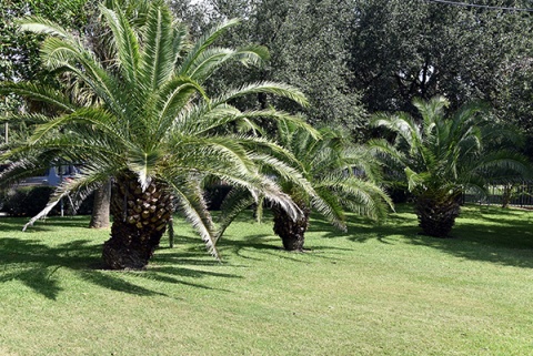 El-Farouq Foundation (EF), Houston, TX, United States, 2017-10-6, 