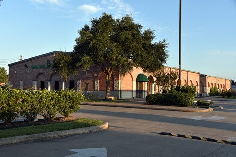 Nigerian Muslim Association of Greater Houston, Houston, TX, United States, 2019-9-8, 