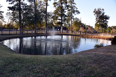 Champions Islamic Center, Spring, TX, United States, 2018-12-4, 