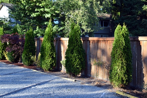 Bellevue Mosque, Bellevue, WA, United States, 2016-8-14, 