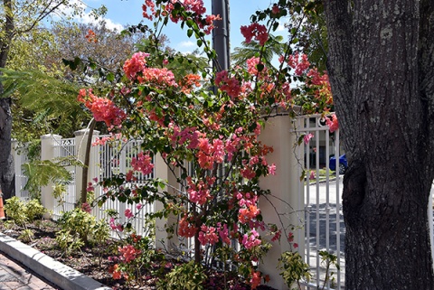 Ershad Center, South Miami, FL, United States, 2015-11-19, 