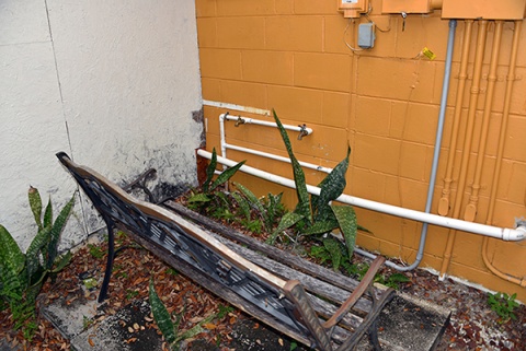 Islamic Society of Lake County, Leesburg, FL, United States, 2019-3-12, 