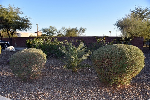 Muslim Community Center of Tucson, Tucson, AZ, United States, 2019-12-8, 