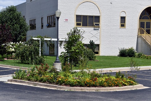 Institute of Islamic Education (IIE), Elgin, IL, United States, 2017-7-24, 