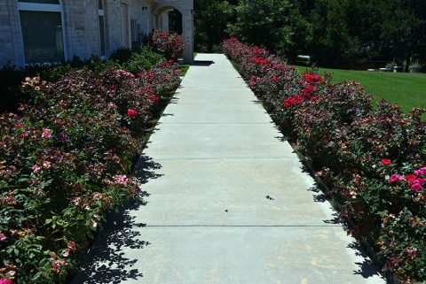 Bosnian American Cultural Center Of North Texas, Grand Prairie, TX, United States, 2019-6-2, 