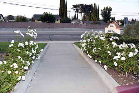 Islamic Center of Conejo Valley (ICCV), Newbury Park, CA, United States, 2016-9-3, 