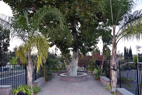 Islamic Center of Conejo Valley (ICCV), Newbury Park, CA, United States, 2016-9-3, 