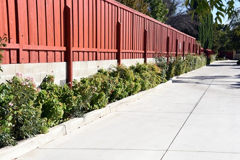 Islamic Society of Tracy, Tracy, CA, United States, 2016-9-1, 