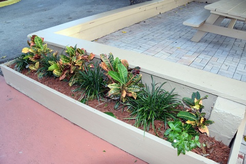 Nur-Ul-Islam Masjid, Cooper City, FL, United States, 2016-11-20, 