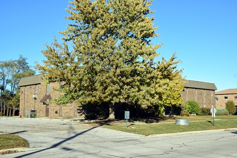 Mosque Foundation Community Center, Bridgeview, IL, United States, 2015-11-1, 
