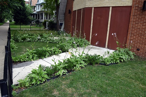 Masjid-e-Noor, Chicago, IL, United States, 2016-7-21, 