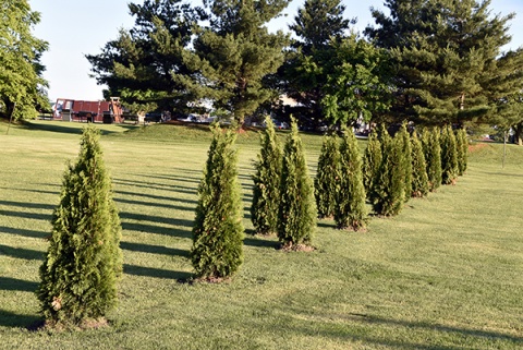 Northwest Indiana Islamic Center (NIIC), Crown Point, IN, United States, 2018-6-13, 