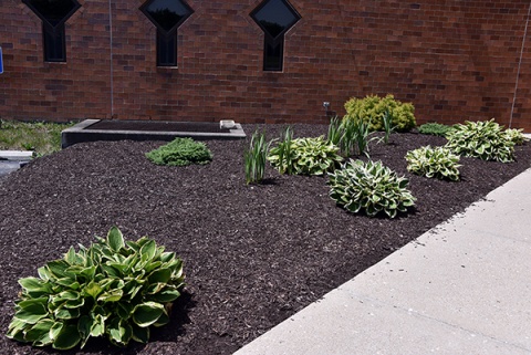Islamic Society of North America (ISNA), Plainfield, IN, United States, 2018-6-14, 