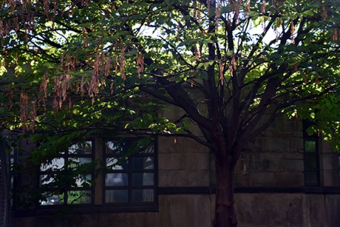 Princeton MSA Masjid, Princeton, NJ, United States, 2015-8-22, 