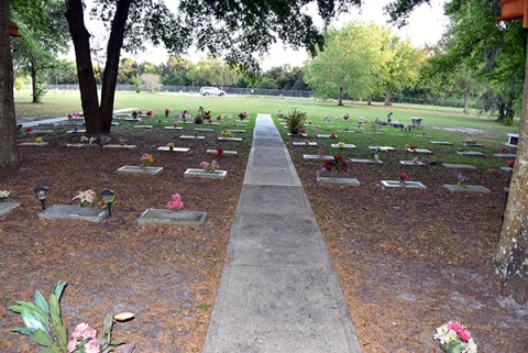 Rawdat Al-Salaam, Orlando, FL, United States, 2019-3-15, 