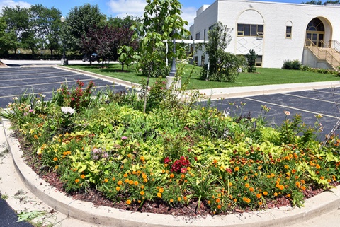 Institute of Islamic Education (IIE), Elgin, IL, United States, 2017-7-24, 