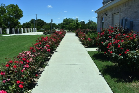 Bosnian American Cultural Center Of North Texas, Grand Prairie, TX, United States, 2019-6-1, 