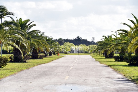 Muslim Cemetery of Miami-Dade, Hialeah, FL, United States, 2019-3-25, 